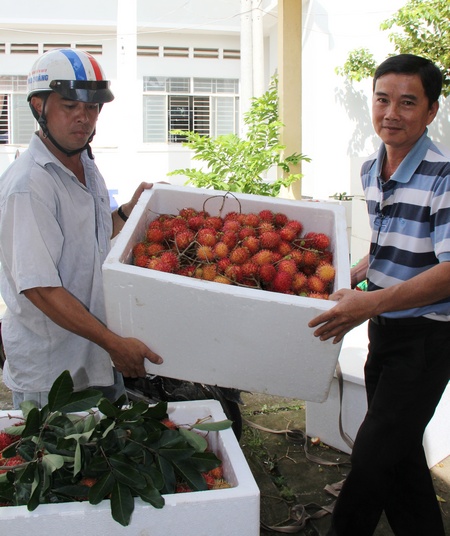 Bình Hòa Phước là một trong 3 xã của tỉnh được chọn xây dựng mô hình sản xuất nông nghiệp bền vững cho hộ nông dân theo hướng nông thôn mới.