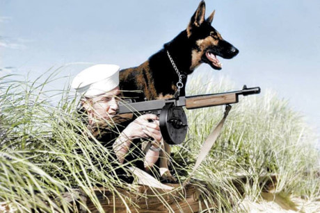 Một lính bảo vệ bờ biển cầm súng tiểu liên Thompson (với hộp đạn tròn 50 viên) bên chú chó béc-giê.