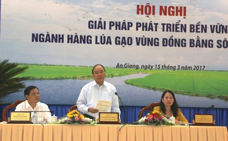 Thủ tướng Chính phủ Nguyễn Xuân Phúc trao đổi với doanh nghiệp lúa gạo ĐBSCL.