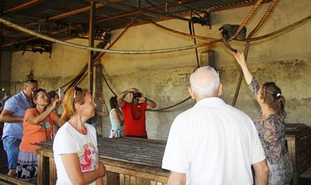 Đoàn khách Nga ghé tham quan trại chồn; những con chồn được thuần hóa trở nên hiền lành và thân thiện với khách.