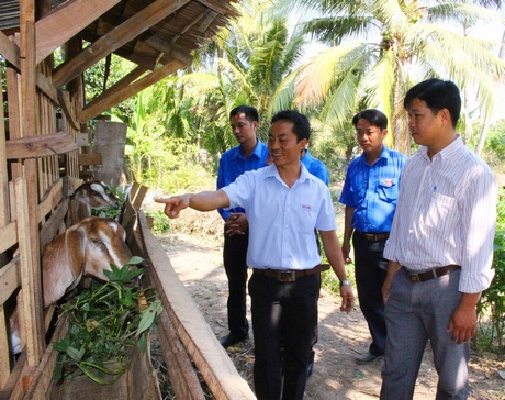 Nhờ được hỗ trợ vốn mà anh Linh có thể xây chuồng  và nuôi bò phát triển kinh tế.