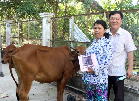 Ông Trần Ngọc Chi- Giám đốc Trung tâm Công tác xã hội trao bò cho hộ nghèo.