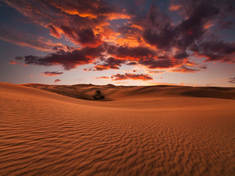 Sa mạc Gobi ở Mông Cổ nổi tiếng là sa mạc lớn nhất châu Á và lớn thứ năm thế giới. Những triền cát trải dài cùng cuộc sống nguyên sơ, hoang dã nơi đây đã khiến Gobi là điểm đến yêu thích của nhiều du khách.