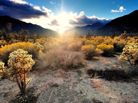 Nằm ở phía tây nam của nước Mỹ, Mojave là sa mạc khô cằn nhất Bắc Mỹ. Đến đây, du khách còn có thể ghé thăm công viên quốc gia Joshua Tree và Thung lũng Chết nằm trong sa mạc có cảnh quan vô cùng ấn tượng.