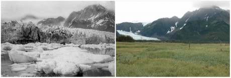 Ảnh chụp sông băng Pedersen (Alaaska, Mỹ) vào mùa hè năm 1917 (trái) và mùa hè 2005 (phải). Lòng sông 100 năm trước giờ đã khô cạn và trở thành cánh đồng cỏ.