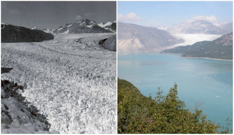 Dòng sông băng ở Alaska mất hàng ngàn năm hình thành. Nhưng chỉ sau 63 năm (từ 1941 đến 2004), nơi đây đã biến thành dòng sông bình thường.
