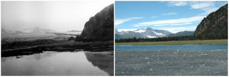 Sông băng Bear (Alaska) sau 100 năm: tháng 7/1909 (trái) và tháng 8/2005 (phải).