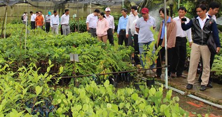 Hội viên nông dân trong tỉnh tham quan mô hình cây giống và chia sẻ kinh nghiệm sản xuất.