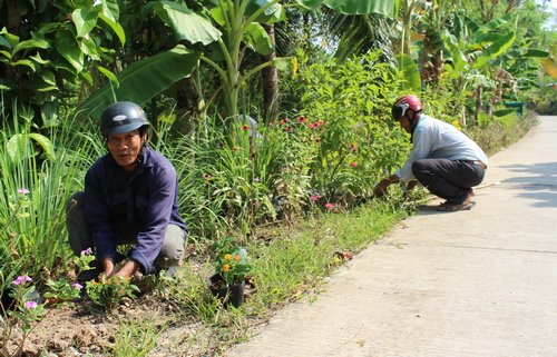 Chung sức làm cho bộ mặt nông thôn mỗi ngày thêm đẹp. Các đoàn thể trồng và chăm sóc hoa ở xã Thuận An; tạo thêm nhiều tuyến đường hoa đẹp.