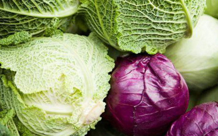 Bông cải xanh, súp lơ và bắp cải là một vài lựa chọn phổ biến cho người muốn giữ phổi khỏe mạnh.