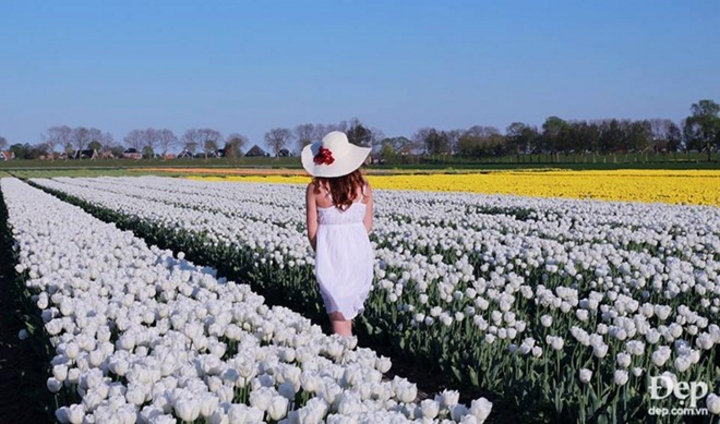 Ngoài thăm quan cánh đồng hoa tuylip, du khách còn có thể chiêm ngưỡng những thắng cảnh nổi tiếng ở Hà Lan như cung điện Hoàng gia, hải cảng Rotterdam, khu đồng quê Zaanse Schans…/.