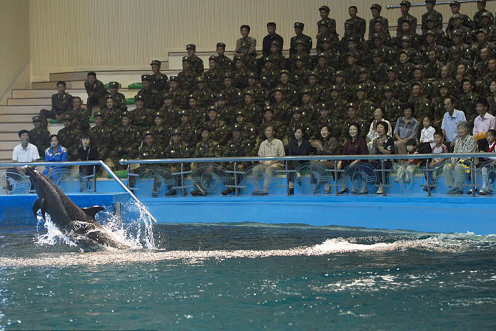 Những binh sĩ với thành tích huấn luyện tốt sẽ được đi thăm công viên nước có biểu diễn cá heo ở Bình Nhưỡng như thế này.