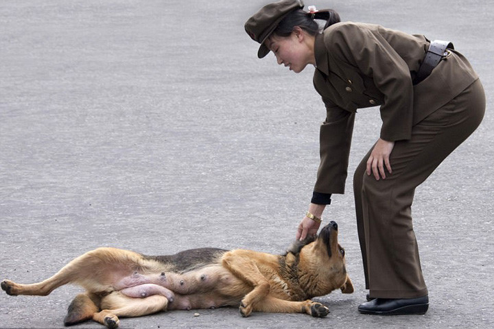 Phút thư thái của một nữ quân nhân bên một cô chó. Nam giới phải tại ngũ trong 10 năm. Với nữ giới, con số này là 7.