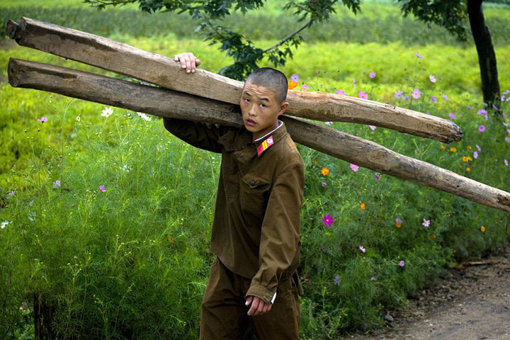 Người lính nghĩa vụ Triều Tiên phải dành nhiều thời gian để lấy gỗ phục vụ xây dựng hoặc đun nấu... vì đất nước này thiếu điện.