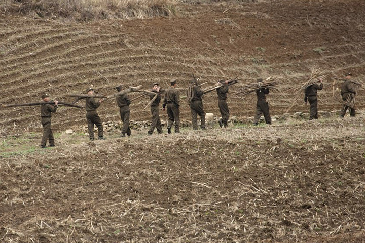 Nhiếp ảnh gia đã chứng kiến rất nhiều binh sĩ Triều Tiên đi lấy gỗ như thế này.