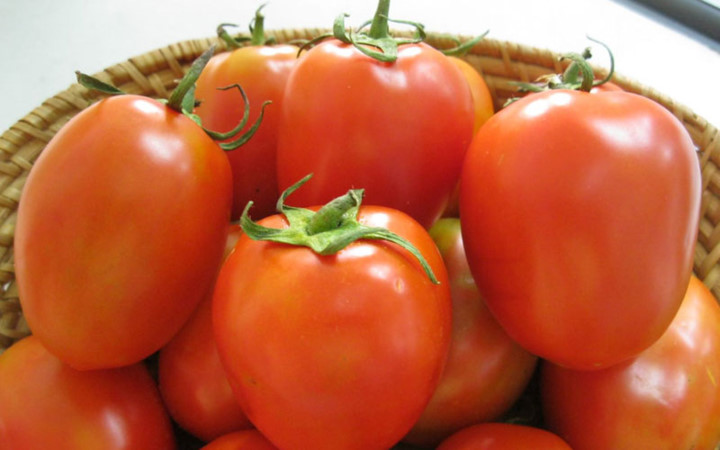 Cà chua có tác dụng thanh nhiệt, giải độc, cân bằng gan, chống nóng. Ngoài ra, cà chua có nhiều vitamin, chất khoáng và vi khoáng dễ hấp thu, giúp cho cơ thể tăng cường khả năng miễn dịch, phòng chống nhiễm trùng, chống oxy hóa mạnh.