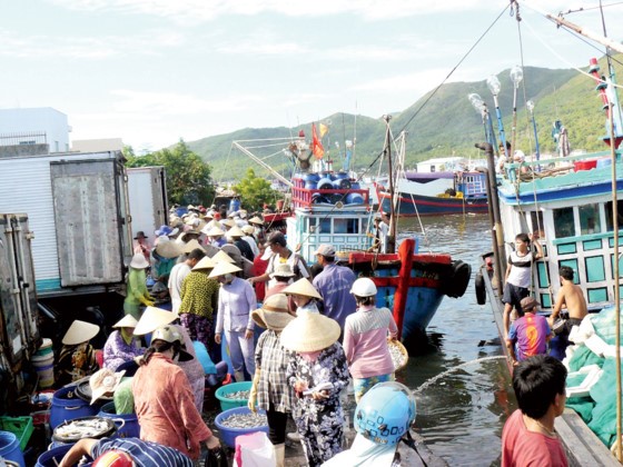 Một góc chợ cá mùa cá Nam
