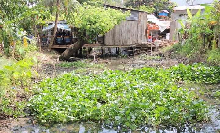 Tại con rạch nằm sát đường Nguyễn Văn Lâu (Phường 8), một số người dân tự ý chặn lưới gây cản trở dòng chảy, ô nhiễm nặng khi nước cạn. Một số khác thì tự ý lấn chiếm, trưng dụng mặt bằng trên con rạch để buôn bán.