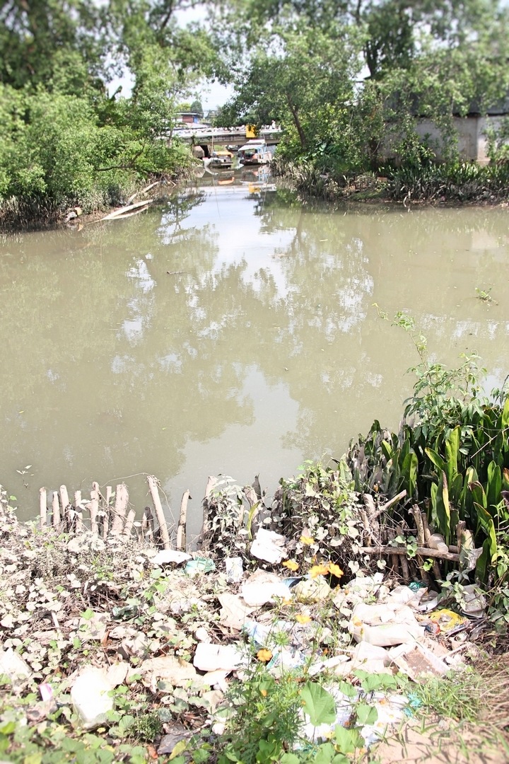 Trên rác- dưới sông là hình ảnh không hề hiếm ở trong lòng đô thị.