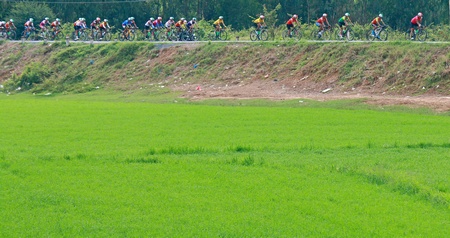 Các tay đua qua đồng lúa đoạn giáp ranh của 2 tỉnh Long An- Đồng Tháp.