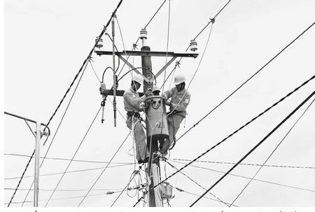 Tập thể Công ty Điện lực đã thi đua thực hiện các công trình đưa điện về vùng nông thôn, đảm bảo cung cấp điện an toàn, liên tục.
