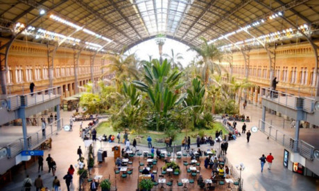 12. Ga Atocha, Madrid, Tây Ban Nha  Tây Ban Nha không chỉ nổi tiếng với Iniesta và Xavi. Nó có ga đường sắt Atocha, một khu vườn thực vật và một khu bảo tồn rùa dưới một mái nhà. Thật thú vị phải không?