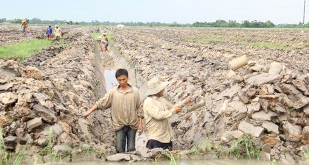 Lên liếp trồng cam trên diện tích đất HTX Bình Minh thuê của bà con ở ấp Phù Ly 2.