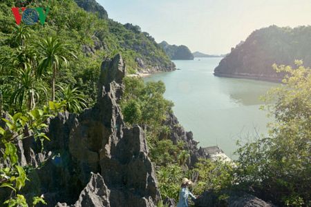 VQG Bái Tử Long có hệ sinh thái độc đáo bậc nhất Đông Nam Á. Đây là trường hợp độc đáo trong các VQG của Việt Nam cũng như thế giới khi có cả ba hệ sinh thái điển hình và khá nguyên vẹn: hệ sinh thái núi đất; núi đá vôi và hang động; biển.