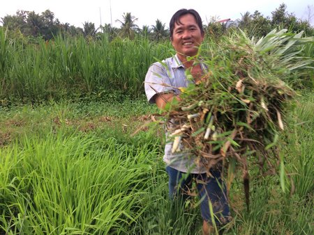  Anh Nguyễn Việt Hùng trồng thêm cỏ voi, rau muống làm thức ăn cho bò, dê.