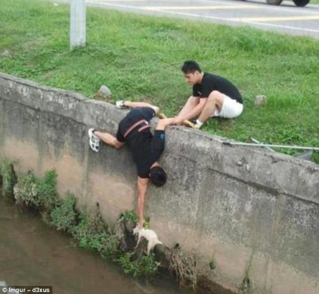 Hai người đàn ông đang cố gắng cứu con mèo bị rơi xuống hồ.