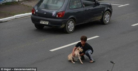 Cậu bé này đã dừng lại để giúp một con chó bị thương ở ngoài đường.