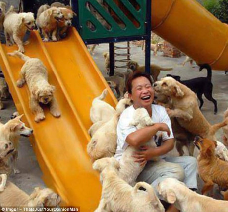 Tại Trung Quốc, các nhà cứu hộ động vật đã trả khoảng 6000 bảng Anh để mua tất cả những con chó trong một chiếc xe tải đang trên đường chở chúng đến lò mổ thịt.
