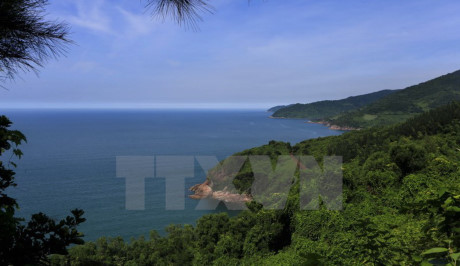 Phong cảnh trên đèo Hải Vân thuộc địa phận tỉnh Thừa Thiên-Huế. (Ảnh: Hồ Cầu/TTXVN)