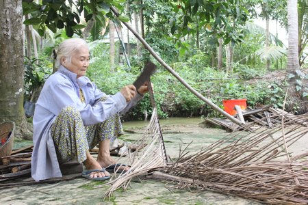 Kinh tế nông nghiệp ở Trung An chủ yếu là làm lúa và cây ăn trái lâu năm như dừa, xoài... Trong ảnh: Cụ bà Nguyễn Thị Thảo bên vườn dừa nhà mình.