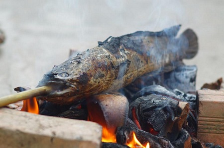 Cá lóc nướng- một trong những món ăn dân dã không thể bỏ lỡ khi đến thăm U Minh Hạ
