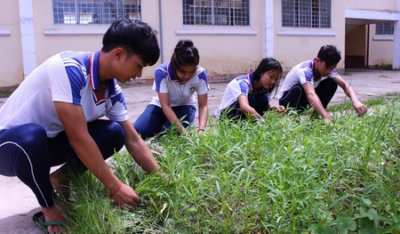 Qua việc làm cỏ trồng rau, học sinh vui hơn, tiến bộ hơn.