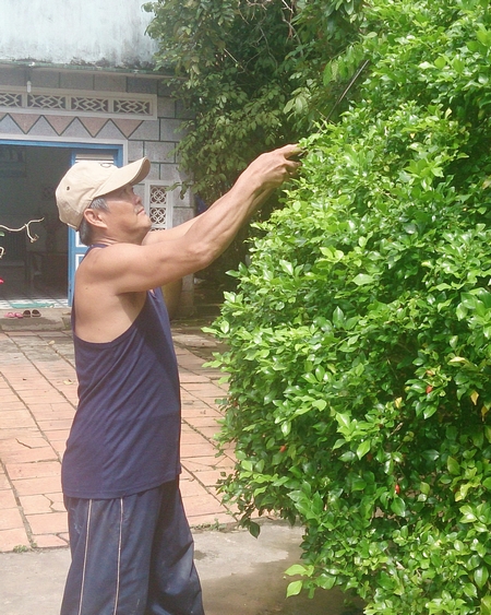Ông Nguyễn Phước Trung vui thú điền viên bên vườn kiểng của mình.