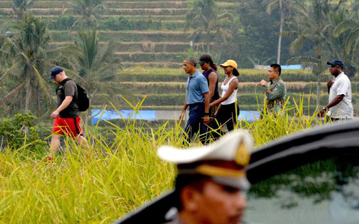 Gia đình ông Obama cũng thăm cánh đồng lúa ở khu du lịch Tabanan. (Ảnh: AFP)