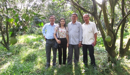 Mỹ Hòa đang tạo điểm nhấn phát triển kinh tế từ cây bưởi Năm Roi. Trong ảnh: Ông Nguyễn Thành Chua (thứ 2, bên phải) đã hiến 1.300m2 đất trồng bưởi để làm đường.