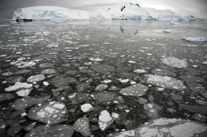 Nhiều tảng băng trôi trên mặt biển ở khu vực phía Tây Nam Cực. Ảnh: AFP