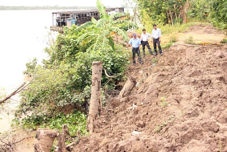 Kiểm tra tiến độ gia cố đê bao dọc sông Bang Tra tại xã Thanh Bình (Vũng Liêm).