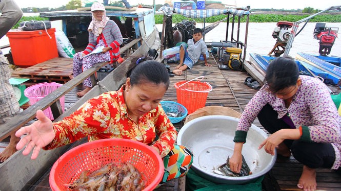 Những con cá, tôm đầu tiên mà người dân vùng lũ huyện An Phú, An Giang thu hoạch được khi mùa lũ về - Ảnh: CHÍ QUỐC