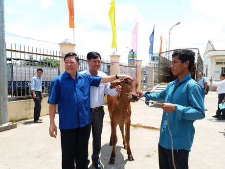 Bí thư Tỉnh ủy- Trần Văn Rón chia vui với bà con nghèo Khmer được nhận bò giống.