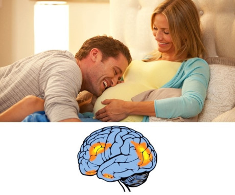 Mang thai làm thay đổi cấu trúc não bộ: Các nhà khoa học đã chứng minh việc mang thai làm giảm lượng chất xám trong vùng não bộ chịu trách nhiệm nhận thức và thấu hiểu người khác.