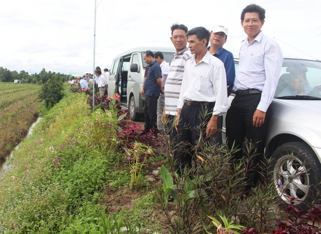 Đoàn tham quan tuyến đường hoa do Hội Cựu chiến binh xã Thuận An đảm nhiệm