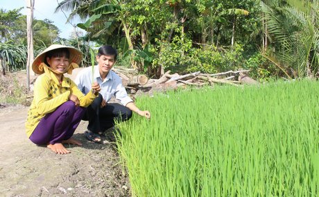 Mô hình trồng lúa hữu cơ của HTX Tân Tiến.