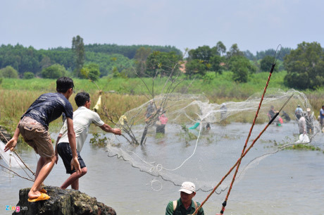 Họ mang theo lưới, xuồng nhỏ thậm chí mang cả kích điện vào khu vực đập để tìm cá.