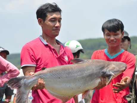 Một người dân sở hữu con cá tra nặng 8 kg.