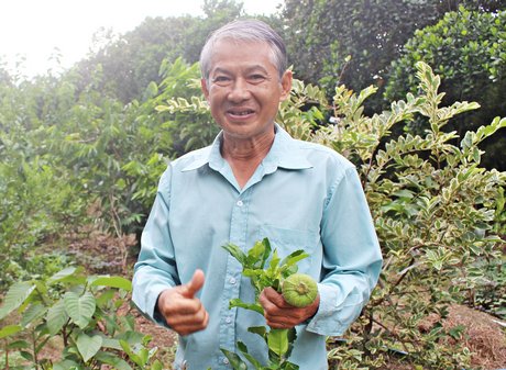 Ông Nguyễn Trí Nghiệp là 1 trong 5 nông dân của tỉnh được tuyên dương “Nông dân sản xuất, kinh doanh giỏi toàn quốc lần thứ V”.