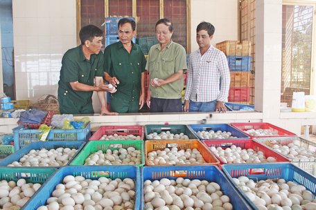 Các cấp hội tham quan cơ sở ấp trứng của anh Huỳnh Kim Phước (thứ 2, bên trái).